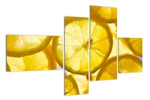Plátky citrónů - obraz (110x70cm)