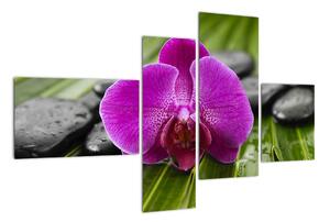 Orchidej - obraz (110x70cm)