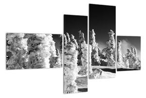 Obraz - zimní hory (110x70cm)