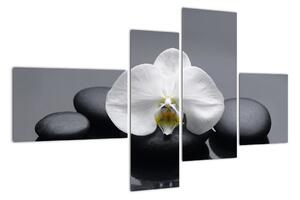 Květ orchideje - moderní obraz (110x70cm)