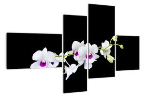 Květina - obraz (110x70cm)