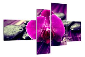 Obraz orchideje (110x70cm)