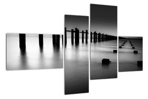 Černobílé moře - obraz (110x70cm)