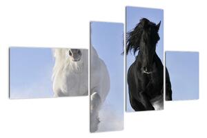 Koně, obraz (110x70cm)