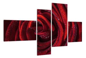 Detail růže, obraz (110x70cm)
