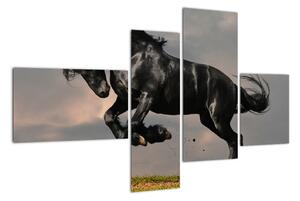 Černý kůň, obraz (110x70cm)