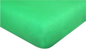 Aaryans Dětské prostěradlo jersey 60x120 cm pastelově zelené