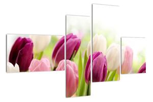 Tulipány, obrazy (110x70cm)