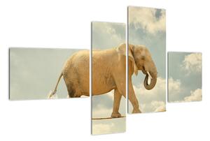 Slon na laně, obraz (110x70cm)