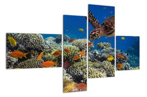 Obraz podmořského světa (110x70cm)