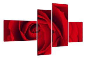 Detail červené růže - obraz (110x70cm)