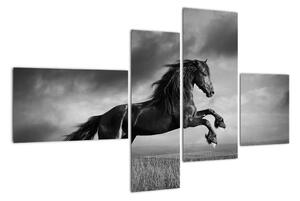 Obraz koně na stěnu (110x70cm)