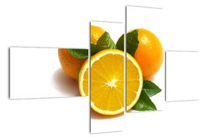 Pomeranče - obraz (110x70cm)