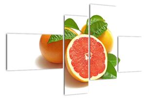 Grapefruit, obraz (110x70cm)