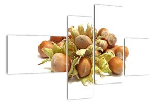 Lískové ořechy - obrazy (110x70cm)