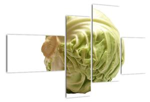 Hlávkové zelí, obraz (110x70cm)
