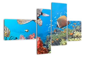Podmořský svět, obraz (110x70cm)