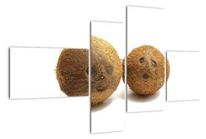 Kokosový ořech, obraz (110x70cm)