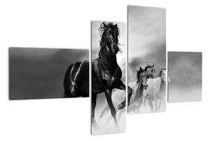 Černobílý obraz koňů (110x70cm)