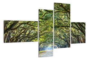 Aleje stromů - obraz (110x70cm)