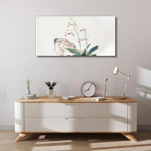 Obraz na plátně Obraz na plátně Hmyz a květiny