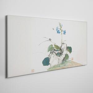 Obraz na plátně Obraz na plátně Hmyz a květiny Ju Lian