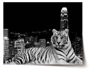 Sablio Plakát Městský tygr - 60x40 cm