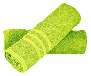Aaryans Sada ručníků Basic 2 ks - zelená