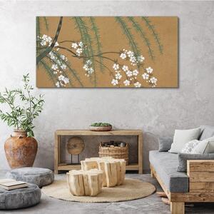 Obraz na plátně Obraz na plátně Větve stromů listy květy