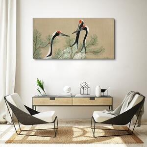 Obraz na plátně Obraz na plátně Zvířata Birds Branches