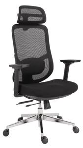 Kancelářská ergonomická židle Neoseat ALLY — černá, nosnost 150 kg