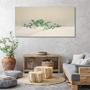 Obraz na plátně Obraz na plátně Květinový rostlina zimní sníh