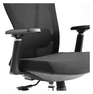 Kancelářská židle ERGODO ANDRES Barva: černá