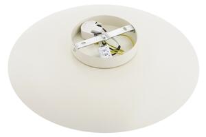 Argon 8863 - LED Nástěnné svítidlo BOLTON LED/12,5W/230V 3000K bílá