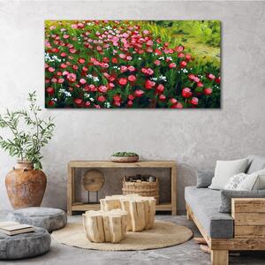 Obraz na plátně Obraz na plátně Květiny pole příroda