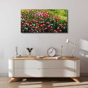 Obraz na plátně Obraz na plátně Květiny pole příroda