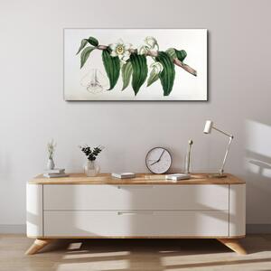 Obraz na plátně Obraz na plátně Kreslení květinové větve orchideje