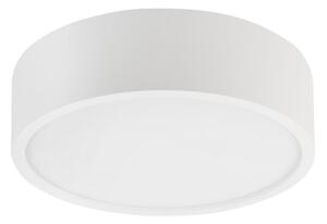 Stropní svítidlo NATURAL 1xE27/15W/230V pr. 27,5 cm borovice/bílá
