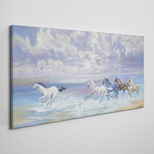 Obraz na plátně Obraz na plátně Malování koní pobřeží