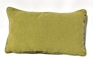 PT Zelený polštář Howthorn Turtle, 50x30 cm
