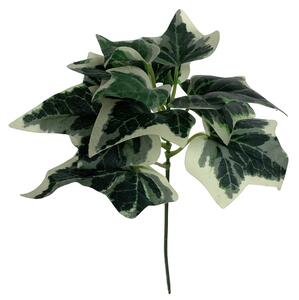 Břečťan zápich 20 cm zelený, bílý