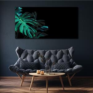 Obraz na plátně Obraz na plátně Jungle Botany Leaf