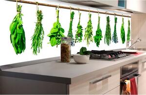 DIMEX | Fototapeta do kuchyně Bylinky KI-180-007 | 180 x 60 cm | zelená, bílá