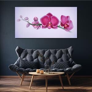 Obraz na plátně Obraz na plátně Akvarel květina větev orchidej