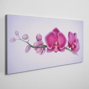Akvarel květina větev orchidej Akvarel květina větev orchidej Obraz na plátně