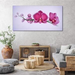 Obraz na plátně Obraz na plátně Akvarel květina větev orchidej