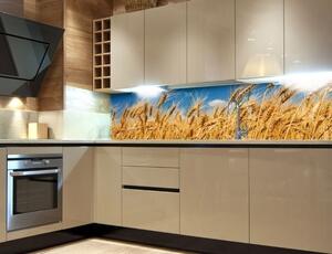 DIMEX | Fototapeta do kuchyně Pole pšenice KI-180-011 | 180 x 60 cm | modrá, žlutá