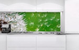 DIMEX | Fototapeta do kuchyně Pampeliška KI-180-012 | 180 x 60 cm | zelená, bílá, hnědá
