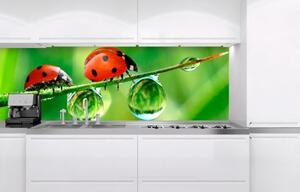 DIMEX | Fototapeta do kuchyně Beruška KI-180-015 | 180 x 60 cm | zelená, červená, černá