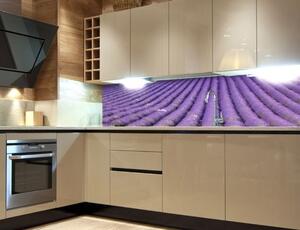 DIMEX | Fototapeta do kuchyně Levandule KI-180-029 | 180 x 60 cm | fialová